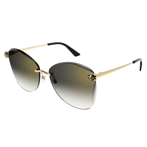 Cartier CORE RANGE CT0398S-001 62 Sunglasses