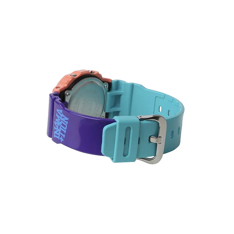 Casio G-Shock DW5600IN4M23-4CR