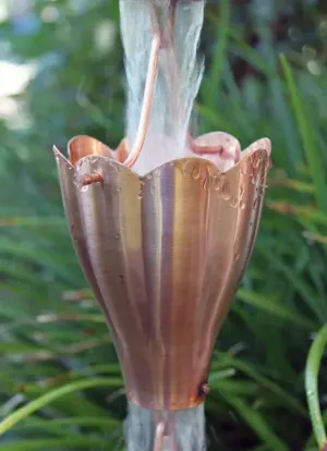 Rain Chain XL Scallop Cup in Copper