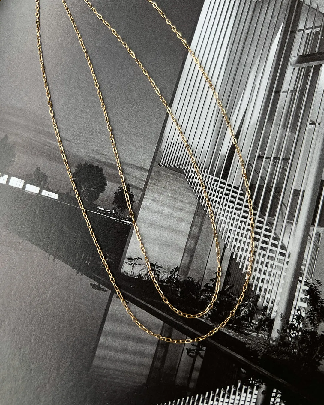 Take Me to the Bungalows Belly Chain- Gold